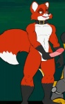 anthro balls duo erection fluffy fluffy_tail genitals humanoid_genitalia humanoid_penis male masturbation penile penile_masturbation penis tail toonpimp disney the_fox_and_the_hound tod_(tfath) canid canine fox mammal red_fox true_fox 2010 2d_animation animated compression_artifacts loop low_res short_playtime