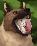 ambiguous_gender black_nose bodily_fluids brown_body brown_fur drooling duo feral feral_pred feral_prey fur glistening glistening_eyes in_mouth mouth_shot open_mouth oral_vore orange_eyes pink_tongue saliva tan_body tan_fur tan_sclera tongue tongue_out vore white_body white_fur roobin eva_(wolffan45) canid canine canis domestic_cat domestic_dog felid feline felis mammal hi_res