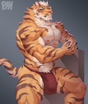 abs anthro balls biceps bulge clothing fur genitals male muscular muscular_anthro muscular_male nipples pecs solo underwear physen nekojishi studio_klondike lin_hu felid mammal pantherine tiger absurd_res hi_res