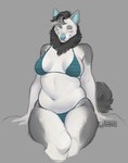 anthro belly bikini biped black_hair blue_bikini blue_clothing blue_eyes blue_inner_ear blue_inner_ear_fluff blue_nose blue_swimwear breasts clothed clothing female front_view fur grey_background grey_body grey_fur grey_highlights hair highlights_(coloring) inner_ear_fluff love_handles mane medium_breasts multicolored_body multicolored_fur navel pattern_bikini pattern_clothing pattern_swimwear simple_background sitting slightly_chubby slightly_chubby_anthro slightly_chubby_female smile solo striped_bikini striped_clothing striped_swimwear stripes swimwear tail thick_thighs tuft two-piece_swimsuit two_tone_body two_tone_fur white_body white_fur wide_hips cillaroz alaskan_malamute canid canine canis domestic_dog mammal nordic_sled_dog spitz 2022 hi_res portrait three-quarter_portrait