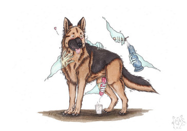 animal_genitalia animal_penis anthro anthro_on_feral balls bestiality black_body black_fur black_tail bodily_fluids canine_genitalia canine_penis cum cum_collecting cumshot dildo disembodied_hand ejaculation erection feral fur genital_fluids genitals group handjob holding_dildo holding_object holding_sex_toy knot knotted_penis male male_feral open_mouth orange_body orange_eyes orange_fur orange_tail penile penis penis_milking pink_tongue red_penis sex sex_toy side_view simple_background solo_focus tail tongue tongue_out white_background kola_(artist) canid canine canis domestic_dog german_shepherd herding_dog mammal pastoral_dog 2024