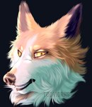 feral for_patrons male solo todviorns canid canine fox mammal headshot_portrait hi_res portrait sketch