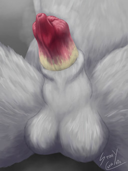 anatomically_correct anatomically_correct_genitalia anatomically_correct_penis animal_genitalia animal_penis anthro balls close-up erection first_person_view genitals half-erect half_bomb knot knot_in_sheath knotted_penis male musk musky_balls musky_penis penis sheath simple_background smegma smegma_in_sheath smegma_on_penis solo stinkycoyote canid canine canis domestic_dog mammal 3:4 absurd_res hi_res