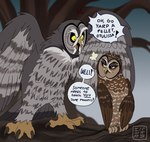 angry avian bird brown_body brown_eyes brown_feathers claws dialogue duo english_text feathers female feral great_grey_owl grey_body grey_feathers guardians_of_ga'hoole hi_res kabuki-aku male otulissa owl plant size_difference spotted_owl strix_(genus) text toe_claws tree true_owl twilight_(gogh) yellow_eyes