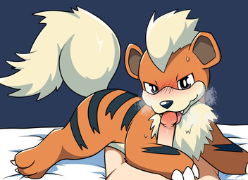 ambiguous_gender bed bed_sheet bedding bestiality black_body black_fur blush bodily_fluids claws duo erection fangs feral feral_on_top finger_claws first_person_view fur furniture genitals human_on_bottom human_on_feral human_pov humanoid_genitalia humanoid_penis interspecies larger_human larger_male larger_on_bottom licking looking_at_viewer male male/ambiguous male_human male_on_bottom male_on_feral male_pov on_bottom open_mouth oral orange_body orange_fur penile penis penis_lick pokephilia sex simple_background size_difference smaller_feral smaller_on_top sweat tail teeth toe_claws tongue tongue_out yttriumi2f nintendo pokemon canid canine generation_1_pokemon growlithe human mammal pokemon_(species) absurd_res digital_media_(artwork) hi_res