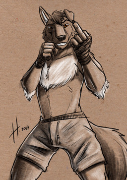 anthro arm_tuft bandaged_hand bottomwear chest_tuft clothed clothing elbow_tuft floppy_ears front_view gesture grin hair hand_gesture looking_at_viewer male male_anthro middle_finger orange_eyes short_hair shorts simple_background slim_anthro slim_male smile solo standing tail topless tuft hufnaar canid canine canis domestic_dog mammal 2017 absurd_res dated hi_res portrait three-quarter_portrait
