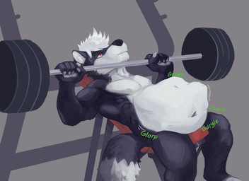 abdominal_bulge anthro belly big_belly black_body black_fur bodily_noises casual_vore churn different_sound_effects exercise fully_inside fur glorp lying male male_pred muscular muscular_male on_back onomatopoeia rumbling_stomach same_size_vore solo sound_effects tail text vore weightlifting white_body white_fur workout gutsybeast canid canine canis mammal wolf