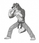 abs anthro athletic belt biceps biped black_nose bottomwear claws clenched_teeth clothed clothing countershading fangs fur grin judo looking_at_viewer male muscular muscular_anthro pants pecs pose simple_background smile solo sport standing tail teeth toe_claws topless white_background vasuki orion_(aluminemsiren) canid canine canis mammal wolf 2013 greyscale monochrome