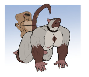 anal anal_penetration anthro athletic big_chest big_muscles big_pecs buckteeth collar duo erection eyes_closed fluffy fluffy_tail genitals glans huge_arms huge_muscles huge_pecs huge_thighs larger_sub leash leash_pull male male/male moan musclegut muscular muscular_male nipples nude pecs penetration penile penile_penetration penis penis_in_ass pink_nose scurid sex size_difference skinny small_top_big_bottom submissive submissive_male tail tail_grab teeth thick_neck thick_tail thick_thighs mcsimpburger alex_(sig_squeak) philip_(sig_squeak) ground_squirrel mammal murid murine rat rodent sciurid absurd_res hi_res