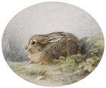 ambiguous_gender brown_body brown_eyes brown_fur feral fur grass long_ears nude outside plant realistic side_view simple_background solo whiskers ludwig_beckmann public_domain european_hare hare lagomorph leporid mammal absurd_res ancient_art hi_res painting_(artwork) signature traditional_media_(artwork) watercolor_(artwork)