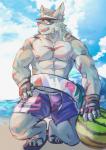 abs anthro beach biceps clothing fur hair male muscular muscular_anthro muscular_male nipples outside pecs seaside sky solo summer swimwear sadonghao canid canine canis mammal wolf 2019 digital_media_(artwork) hi_res