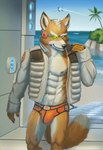 5_fingers anthro arwing athletic athletic_male beach belly black_nose black_seam_underwear blue_sky briefs bulge canid canine chest_tuft claws clothed clothing colored_seam_underwear crotch_tuft day digital_media_(artwork) dipstick_tail electronics eyebrows fingers fluffy fox fox_mccloud front_view fur green_eyes hand_on_shoulder headgear headphones headset headset_microphone hi_res island jacket logo_on_clothing looking_at_viewer male mammal markings nintendo nipples open_clothing open_jacket open_topwear orange_briefs orange_clothing orange_underwear palm_tree plant rrougarou1 sea seaside shirtless signature sky smile solo spacecraft star_fox suggestive tail tail_markings tan_belly tan_eyebrows tan_tail_tip topwear tree tuft underwear unzipped_jacket vehicle visor walking water white_clothing white_jacket white_topwear yellow_body yellow_fur