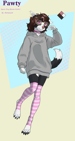 anthro bone_collar_tag bottomless brown_hair clothed clothing collar collar_tag digitigrade ear_piercing ear_ring eyewear female fur gold_(metal) gold_ear_ring grey_clothing grey_hoodie grey_topwear hair happy hoodie legwear multicolored_body multicolored_fur multicolored_hair nude pattern_clothing pattern_legwear pattern_stockings piercing pink_collar pink_eyes pink_nose pink_stockings ring_piercing solo standing stockings striped_clothing striped_legwear striped_stockings stripes tail text text_on_collar_tag topwear wearing_collar mrowley66 pawty border_collie canid canine canis collie domestic_dog herding_dog mammal pastoral_dog sheepdog absurd_res hi_res model_sheet