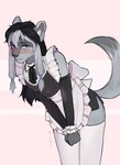 black_hair blue_eyes clothing femboy fur grey_body grey_fur hair leggings legwear maid_apron maid_collar maid_uniform uniform michy_tya asher_allure canid canine canis mammal wolf