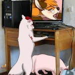 computer duo electronics female feral hair male pink_body red_hair white_body arturfox chara_senko_yukimoto rox_02 canid canine fox mammal 1:1 meme