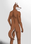 4_fingers anthro biped black_nose blue_eyes brown_body brown_fur butt claws fingers fur looking_back male nude rear_view simple_background smile solo standing white_background white_body white_fur darkforest canid canine canis domestic_dog mammal portrait three-quarter_portrait