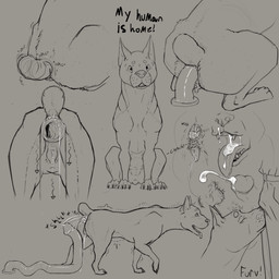 anal anal_masturbation anal_penetration anatomically_correct animal_genitalia animal_vulva anus balls bestiality bodily_fluids canine_genitalia canine_vulva cum cum_in_mouth cum_inside dildo dildo_in_ass dildo_insertion dildo_sitting duo ejaculation female female_focus female_on_human feral feral_focus feral_penetrated gaping gaping_anus genital_fluids genitals grey_background human_on_feral interspecies male male/female male_on_feral masturbation object_in_ass penetration penis realistic_feral sex_toy sex_toy_in_ass sex_toy_insertion short_tail simple_background sniffing solo_focus sound_effects tail tail_motion tailwag text tongue tongue_out vaginal_fluids vaginal_squirting vulva furvilous canid canine human mammal 1:1 absurd_res english_text greyscale hi_res monochrome