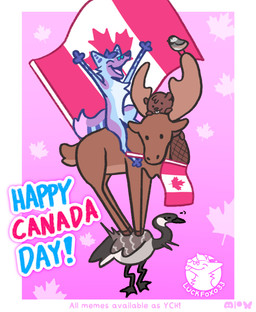 anthro beaver_tail belly blue_body blue_fur blue_hair brown_body brown_fur canadian canadian_flag cheek_tuft chest_tuft facial_tuft feral fur hair holidays maple_leaf pink_background silly simple_background standing_on_another text tuft white_belly conditional_dnp luckfoxo33 canada_day tolng anatid anseriform anserine avian beaver bird canada_goose canid canine chickadee deer fox goose mammal moose new_world_deer oscine passerine rodent tit_(bird) hi_res