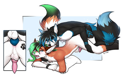 anal anal_penetration animal_genitalia animal_penis anthro anthro_on_anthro anthro_penetrated anthro_penetrating anthro_penetrating_anthro anus arm_tuft balls bite black_body black_fur black_hair black_nose blue_markings bound canine_genitalia canine_penis cheek_tuft chest_tuft dipstick_ears dipstick_tail duo ear_bite ear_markings ear_piercing ear_ring elbow_tuft eyes_closed facial_markings facial_tuft fluffy fluffy_tail footprint fur genitals green_hair green_nose hair hands_tied head_markings knot looking_pleasured lying male male/male male_penetrated male_penetrating male_penetrating_male markings multicolored_body multicolored_ears multicolored_fur multicolored_hair multicolored_tail nude on_front open_mouth orange_body orange_fur pawprint pawprint_(marking) penetration penile penile_penetration penis piercing pink_penis ring_piercing sex simple_background tail tail_markings tuft white_body white_fur f-r95 canid canine fox mammal absurd_res digital_media_(artwork) full-length_portrait hi_res portrait