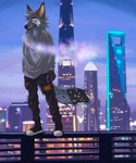 anthro balcony city clothing detailed_background looking_at_viewer male night pose relaxing shanghai smoking solo torn_clothing slyhighcoyote kosten american_kestrel canid canine mammal maned_wolf absurd_res hi_res