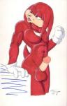 anthro balls clothing erection genitals gloves handwear humanoid_genitalia humanoid_penis male nude penis purple_eyes solo marc_leonhardt sega sonic_the_hedgehog_(series) knuckles_the_echidna echidna mammal monotreme low_res