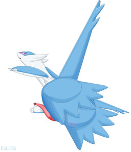 blush erection feral flying genitals levitating male nude open_mouth penis presenting red_eyes simple_background solo egging_(artist) nintendo pokemon generation_3_pokemon latios legendary_pokemon pokemon_(species) censored