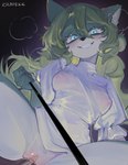 anthro black_background blue_eyes breasts clothing crazy_eyes dress duo female female_penetrated first_person_view genitals green_hair grinning_at_viewer hair leash leashed_pov looking_at_viewer male male/female male_penetrating male_penetrating_anthro male_penetrating_female nipples penetration penile penile_penetration penis penis_in_vagina sex simple_background translucent translucent_clothing translucent_dress vaginal vaginal_penetration vulva krapekk mammal hi_res
