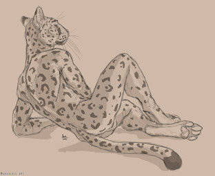 anthro digitigrade leopard_spots looking_at_viewer looking_back looking_back_at_viewer lying male nude on_side paws pose reclining simple_background solo spots whiskers arcr-cric felid leopard mammal pantherine 2022 digital_media_(artwork) hi_res monochrome