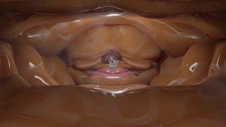 3_toes anthro asphyxiation astronomical_hyper belly big_belly big_breasts big_cheeks big_feet big_hands big_toes bodily_fluids breasts breath earth expansion feet female foot_focus foot_growth fur giga hair hand_growth huge_belly huge_breasts huge_feet huge_hands huge_toes hyper hyper_belly hyper_breasts hyper_cheeks hyper_feet hyper_hands hyper_lips hyper_toes immobile intersex lips long_ears macro moan morbidly_obese morbidly_obese_anthro nipples obese obese_anthro overweight overweight_anthro planet smothering solo sweat sweaty_feet thick_lips toes trapped weight_gain nommnuki briengles lagomorph leporid mammal rabbit 16:9 2025 3d_(artwork) 3d_animation animated digital_media_(artwork) hi_res long_playtime sound video widescreen