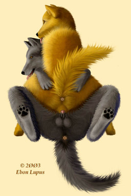 anatomically_correct anatomically_correct_genitalia anatomically_correct_vulva animal_genitalia animal_penis animal_vulva anus backsack balls black_body black_fur bodily_fluids brown_body brown_fur butt canine_genitalia canine_penis canine_vulva claws cowgirl_position cum duo female female_on_top female_penetrated feral feral_on_feral from_front_position fur genital_fluids genitals hand_on_another's_butt hand_on_butt intraspecies knotting lying male male/female male_on_bottom male_penetrating male_penetrating_female nude on_back on_bottom on_top orange_eyes penetration penile penile_penetration penis penis_in_vagina raised_tail rear_view sex sheath straddling tail tail_anus tongue vaginal vaginal_knotting vaginal_penetration vulva ebon_lupus canid canine canis mammal northwestern_wolf wolf 2003 2:3