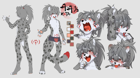 accessory adolescent anthro aroused aroused_face balls black_nose black_spots blush blush_lines boxer_briefs bulge butt clothing fur genitals grey_body grey_fur hair hair_accessory hairband kemono long_hair looking_at_viewer male markings nude nude_anthro nude_male open_mouth red_markings scared slim slim_anthro slim_male solo spots tongue tongue_out underwear white_body white_fur young young_anthro young_male meiutrola felid mammal pantherine snow_leopard absurd_res hi_res model_sheet