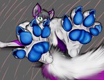 claws feet foot_fetish paws soles toes tops muffinvinvin takenshi canid canine fox mammal absurd_res hi_res