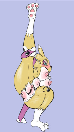 anthro anus belly_blush blush body_blush breast_blush breasts crouching female flushed_face genitals hand_holding_leg presenting presenting_anus raised_leg solo vulva vulva_blush linebore bandai_namco digimon canid digimon_(species) mammal renamon