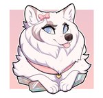 badge bow_ribbon collar female feral fur gem solo white_body white_fur browniesnsfw opal canid canine canis domestic_dog mammal nordic_sled_dog samoyed spitz bust_portrait hi_res portrait