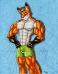 abs abstract_background anthro biped bottomwear bulge clothed clothing looking_at_viewer male muscular muscular_anthro muscular_male pose shorts simple_background smile solo standing tail topless wolfgangcake canid canine fox mammal kit_(disambiguation) 2008