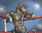 anthro athletic athletic_anthro athletic_male blue_eyes camera_flash candy dessert ear_piercing ear_ring fighting_ring food jewelry lollipop male necklace piercing ring_piercing shirtless solo taped_hands wrestler conditional_dnp whimsicalsquirrel mammal murid murine rat rodent