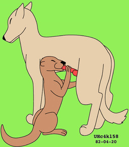 ambiguous_gender animal_genitalia animal_penis brown_body brown_fur canine_genitalia canine_penis duo eyes_closed feral fur genitals green_background knot knotted_penis male male/ambiguous oral otter_tail penis penis_in_mouth red_penis simple_background sitting size_difference standing tail tan_body tan_fur urbanhermit canid canine mammal mustelid otter 1982 dated low_res