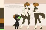 anthro brown_eyes brown_hair female hair nude solo text tiel splinter_cell tom_clancy's_(series) ubisoft annabelle_chambers border_collie canid canine canis collie domestic_dog herding_dog mammal pastoral_dog sheepdog digital_media_(artwork) english_text model_sheet