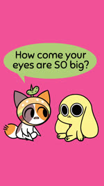 :3 ambiguous_gender big_ears big_eyes chibi clothing contact_lenses crossed_legs duo feral floppy_ears fluffy fluffy_tail food headgear headwear humor mottled pawpads paws pickle_(food) piebald pink_background quadruped shocked simple_background simple_coloring simple_eyes simple_face simple_nose speech_bubble tail talking_to_another text kyrakupetsky sound_warning chikn_nuggit cheezborger_(chikn_nuggit) chikn_nuggit_(chikn_nuggit) calico_cat canid canine canis domestic_cat domestic_dog felid feline felis mammal 2020 9:16 animated digital_media_(artwork) english_text hi_res short_playtime sound voice_acted webm