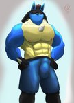 abs anthro athletic athletic_wear balls_outline barazoku belt biceps black_arms black_belt black_body black_fur black_legs blue_arms blue_body blue_bottomwear blue_clothing blue_fur blue_head blue_pants bottomwear brown_hair bulge clothing detailed_bulge erection erection_under_bottomwear erection_under_clothing fur genital_outline gym_bottomwear gym_shorts hair looking_at_viewer male male/male muscular muscular_biceps muscular_legs muscular_male nipples pants pecs penis_outline red_eyes shorts solo tight_clothing yellow_body yellow_fur neotorakuma nintendo pokemon generation_4_pokemon lucario pokemon_(species) hi_res