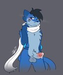 anthro balls black_hair blue_body blush bodily_fluids dripping genital_fluids genitals hair leaking_precum looking_at_viewer male penis precum precum_drip scarf solo vein veiny_penis white_scarf lightobui nintendo pokemon fan_character hikaro_(lightobui) buizel generation_4_pokemon pokemon_(species) 2022 digital_media_(artwork) signature