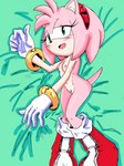 anthro blush dakimakura female fur hair pink_body pink_fur pink_hair pink_nose solo randomguy999 sega sonic_the_hedgehog_(series) amy_rose eulipotyphlan hedgehog mammal dakimakura_design hi_res