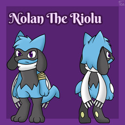 anthro bandage bandaged_arm blue_body blue_fur blue_hair fur hair male scarf solo tail tunrix_canrio nintendo pokemon nolan_the_riolu generation_4_pokemon pokemon_(species) riolu hi_res model_sheet reference_image