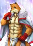 ankh anthro clothed clothing gender_symbol gender_symbol_tattoo gloves handwear male male_symbol male_symbol_tattoo pose skimpy solo symbol tattoo yern final_fantasy square_enix mage_(final_fantasy) white_mage_(naruever) canid canine fox mammal white_mage_(final_fantasy) hi_res