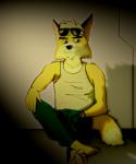 anthro biped clothing eyewear fur hook hook_hand male shirt sitting solo sunglasses tank_top topwear yellow_body yellow_fur fredryk_phox a_fox_in_space nintendo star_fox james_mccloud canid canine fox mammal 5:6