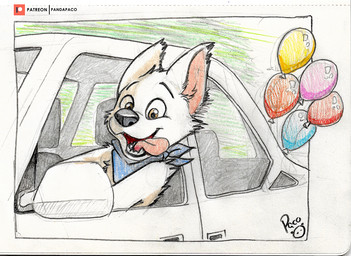anthro balloon blue_kerchief blue_neckerchief car cheek_tuft driving facial_tuft fur glistening glistening_eyes head_tuft inflatable inside_car inside_vehicle kerchief logo male male_anthro neckerchief neckwear open_mouth open_smile orange_eyes red_tongue smile solo tongue tuft vehicle white_body white_fur young young_anthro young_male pandapaco canid canine mammal artist_logo signature traditional_media_(artwork)