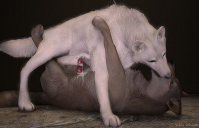 animal_genitalia animal_penis black_nose bodily_fluids brown_body brown_fur butt canine_genitalia canine_penis claws cum cum_on_belly cum_on_body cum_on_penis cum_while_sheathed duo ears_up eyes_closed feral fur genital_fluids genitals half-erect kissing knot leaking_cum looking_at_viewer looking_pleasured male male/male multicolored_body multicolored_fur paws penile penis penis_in_sheath precum sheath sheath_play shy simple_background spread_legs spreading tail toe_claws white_body white_fur blodrain canid canine canis mammal wolf 3d_(artwork) absurd_res digital_media_(artwork) hi_res