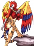 anthro areola beak blue_body blue_eyes blue_feathers breasts feathered_wings feathers female genitals looking_at_viewer nipples non-mammal_breasts non-mammal_nipples nude open_mouth pose pussy red_body red_feathers simple_background solo tail white_background wings yellow_body yellow_feathers ayame_emaya mythology xan_(ayame_emaya) ara_(genus) avian bird chimera felid feline gryphon leopardus macaw mammal margay mythological_avian mythological_creature neotropical_parrot parrot scarlet_macaw true_parrot 2003