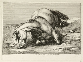 ambiguous_gender corpse death feral fur grass head_on_ground lying muscular muscular_feral on_front plant rock sky solo tail jan_van_huchtenburg public_domain equid equine horse mammal absurd_res ancient_art hi_res