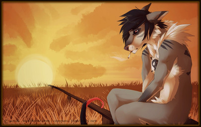 anthro biped black_hair border casual_nudity cigarette day fur grey_body grey_fur hair male mouth_hold nude outside short_hair side_view sitting sky smoke smoking solo sun sunset white_body white_fur compass_(artist) canid canine mammal